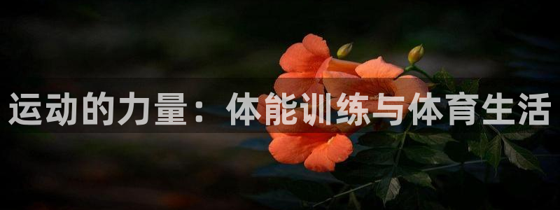 谈球吧体育：运动的力量：体能训练与体育生活