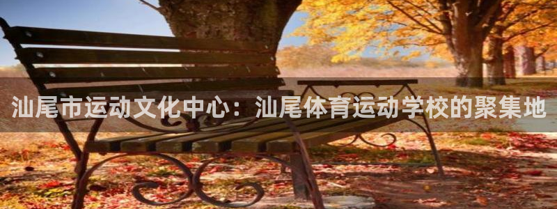 谈球吧体育官网