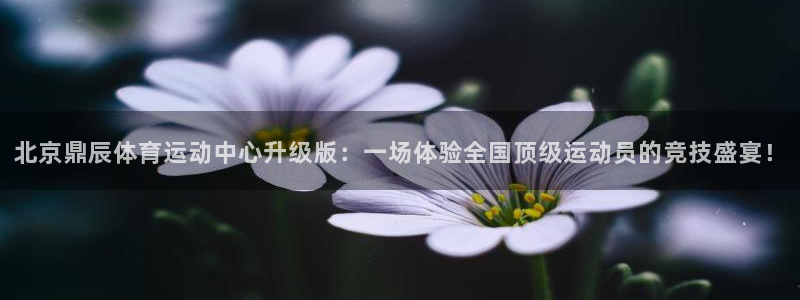谈球吧