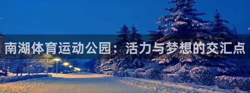 谈球吧