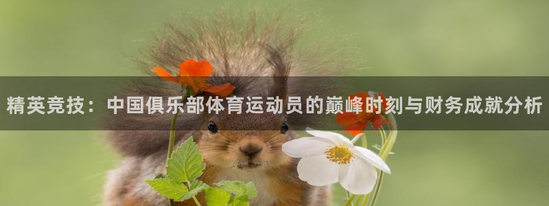 谈球吧：精英竞技：中国俱乐部体育运动员的巅峰时刻与财务成就分析