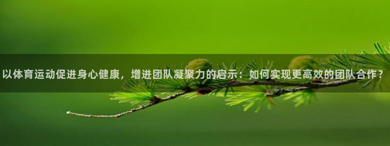 谈球吧：以体育运动促进身心健康，增进团队凝聚力的启示：如何实现更高效的团队合作？