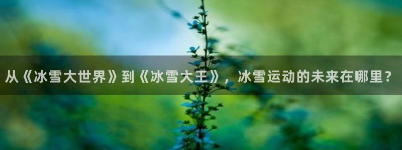 谈球吧体育官网：从《冰雪大世界》到《冰雪大王》，冰雪运动的未来在哪里？